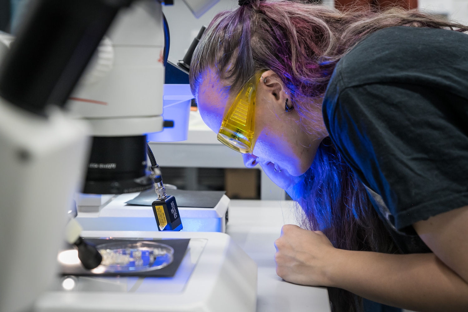 Pētniece aizsargbrillēs laboratorijā ar mikroskopu pēta paraugu.